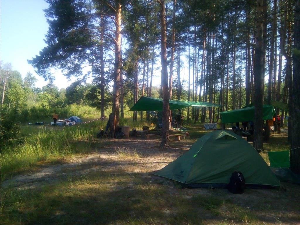 Лагерь - лесной отель